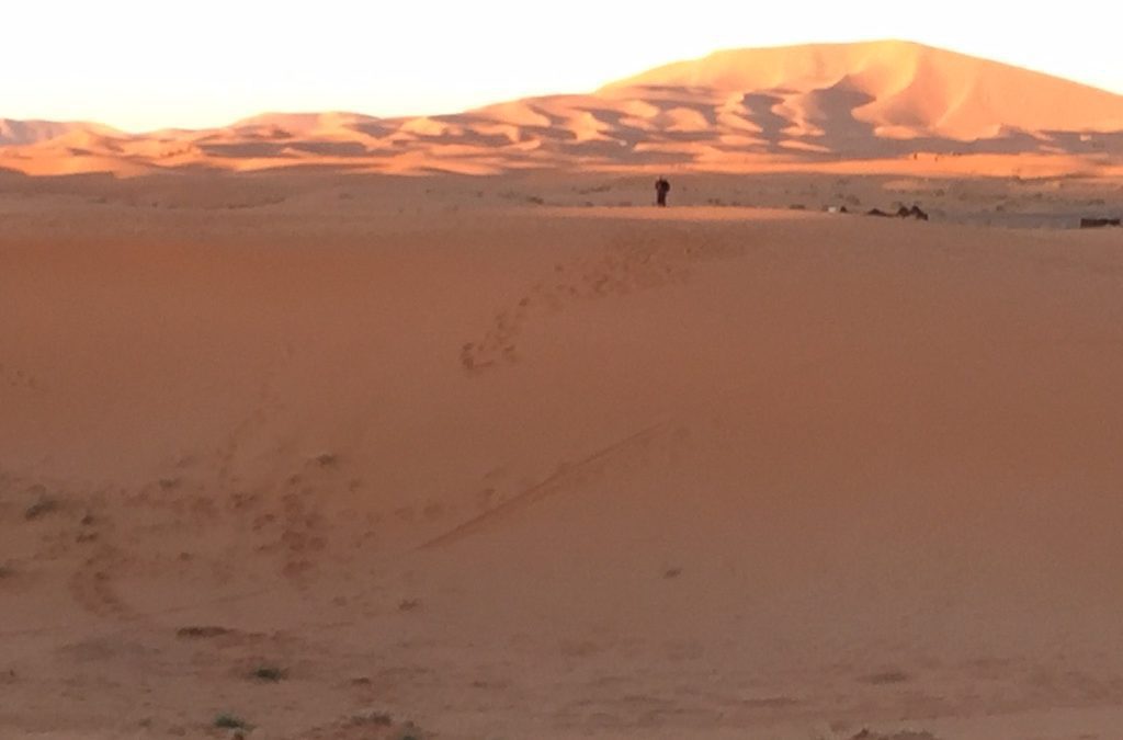 New Year’s Eve in the Sahara Desert
