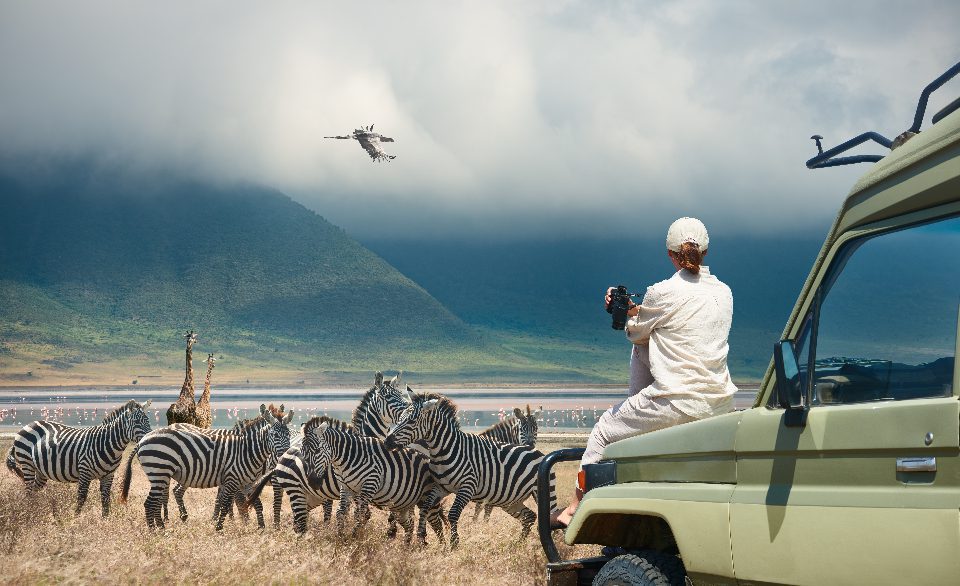 Woman on safari tour at Ngorongoro National Park, Tanzania - Adobe Stock - soft_light