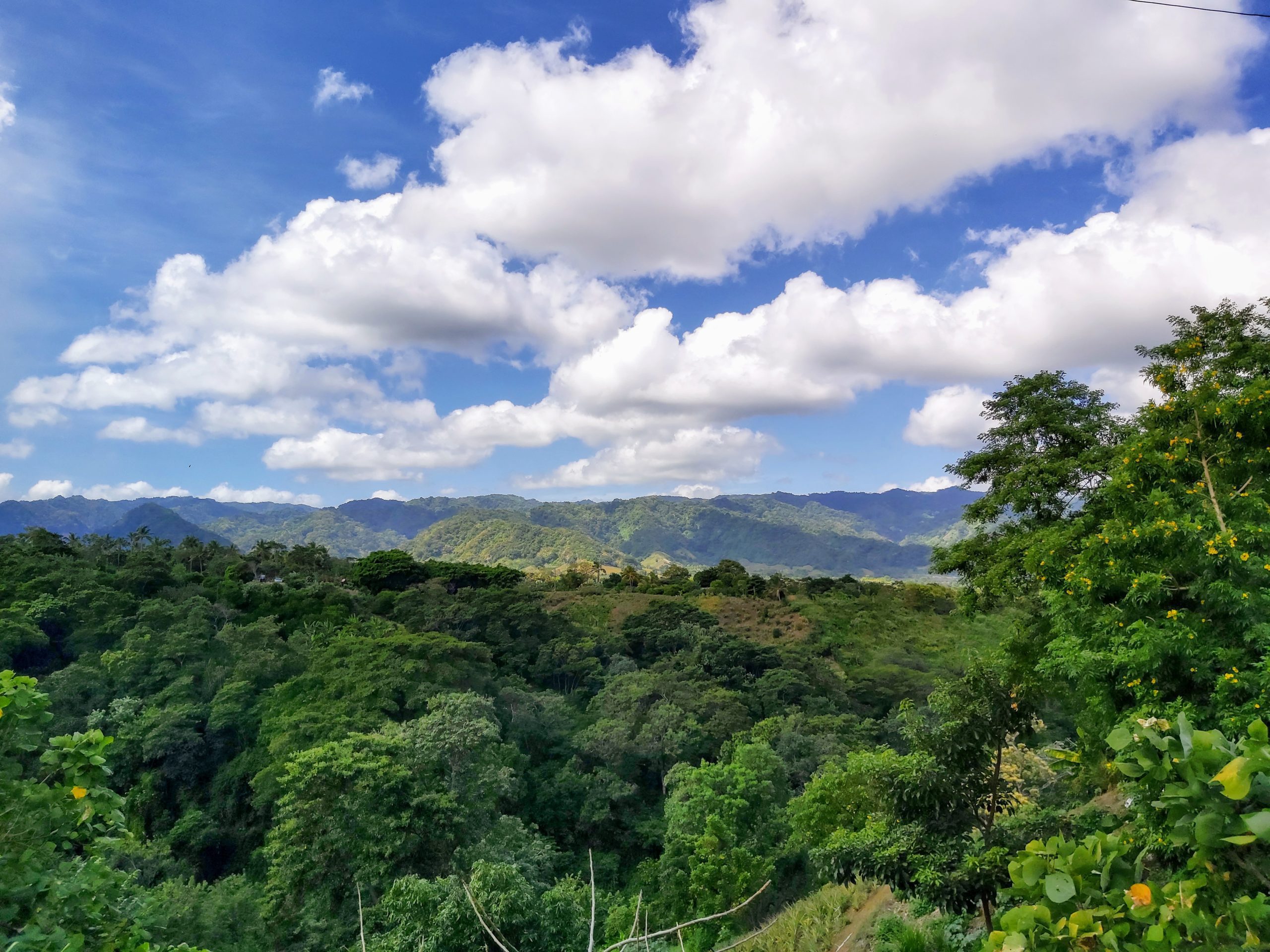 Lush greenery on Nicaragua