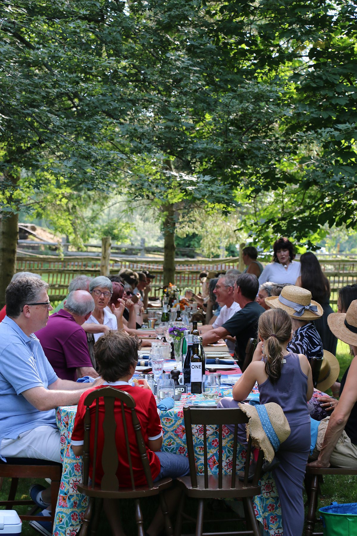 Diners sitting at a long table outside under the trees