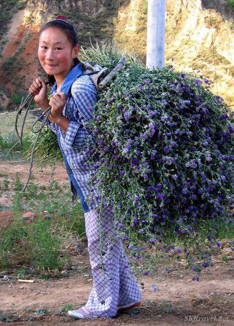Chinese Farmer Girl