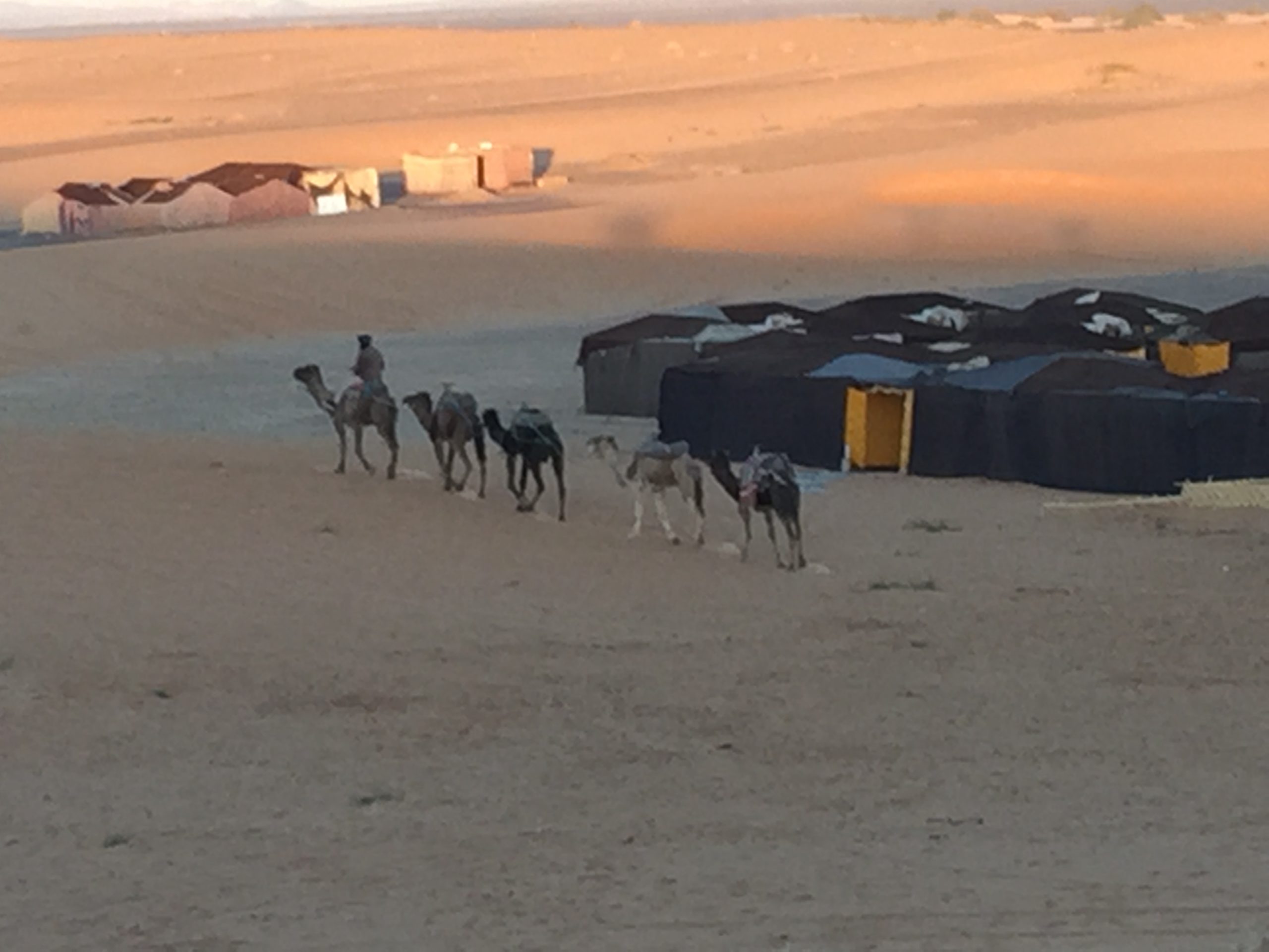 Tents in the Sahara Desert