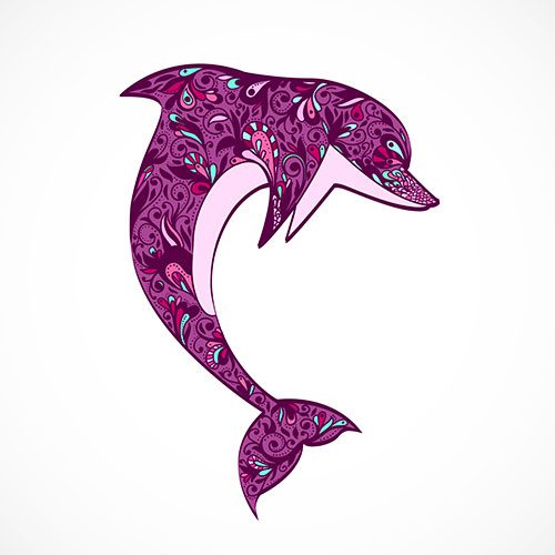 stylized dolphin illustration