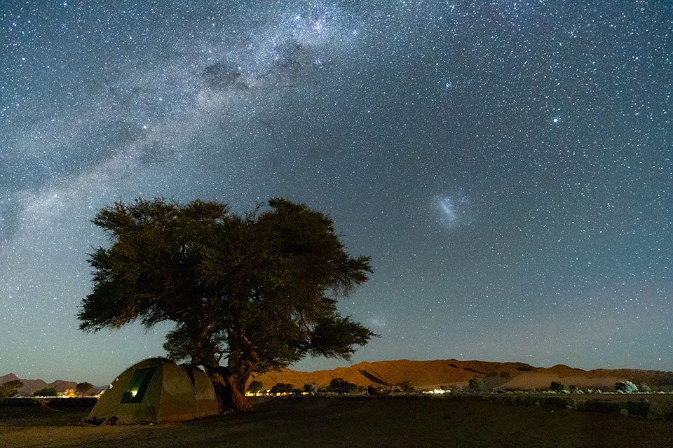 A tent and tree under the stars in South Africa