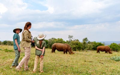 Practicing Responsible Animal-Based Tourism: Guidelines for Ethical Travel
