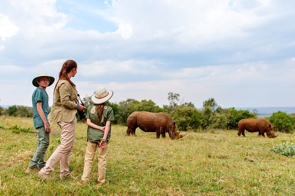 Three young women observe a herd of rhinos