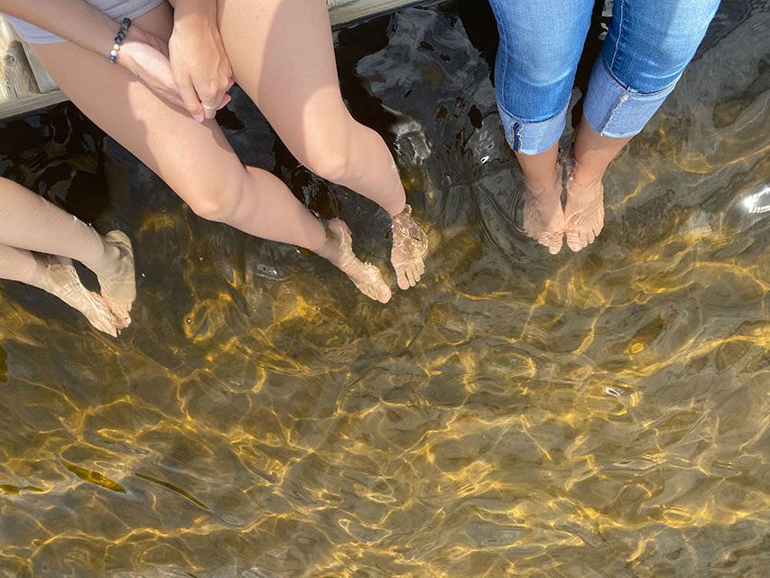 Womens feet in the lake water