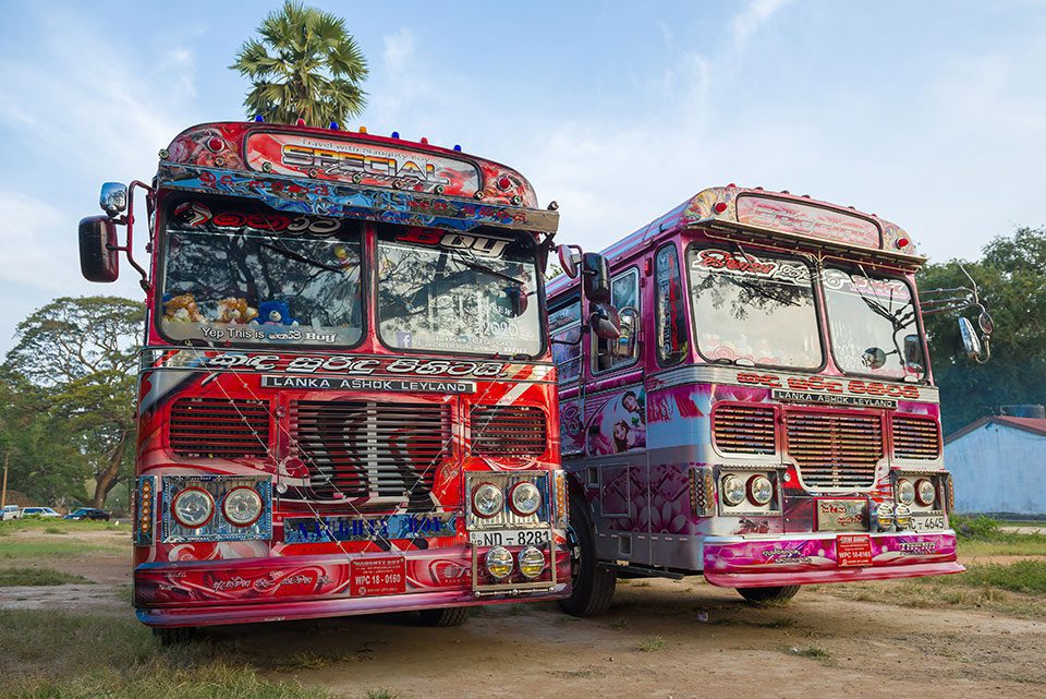 Two colourful tour buses in Sri Lanka
