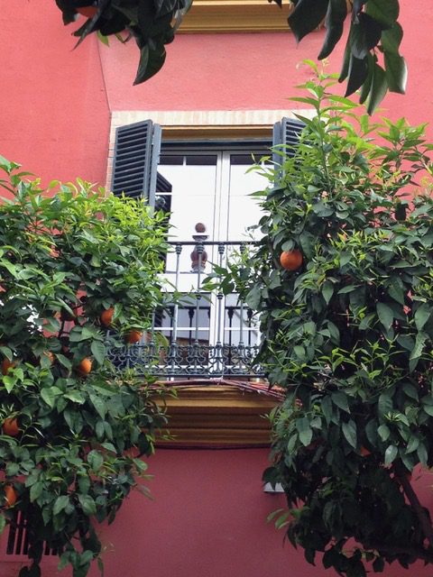 Colourful window in Triano