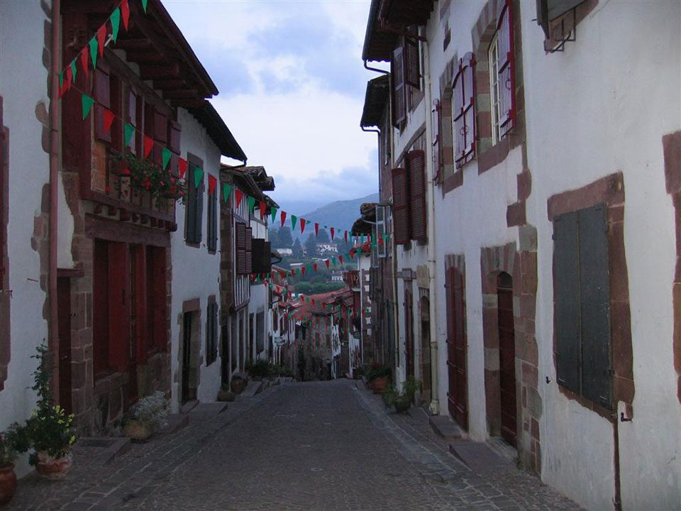 French Way, Camino de Santiago