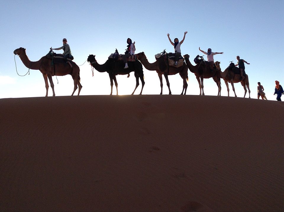 Diana Eden and her travelling companions ride camels in the Sahara Desert