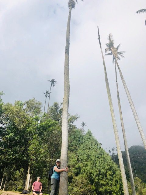 Author Samantha hugs a wax palm tree in Colombia