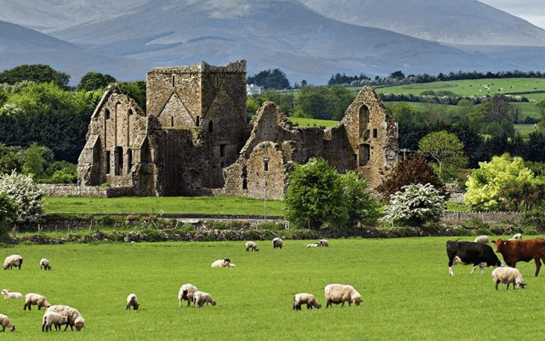 Get a Glimpse into Rural Life in Ireland With John McGahern’s Novel