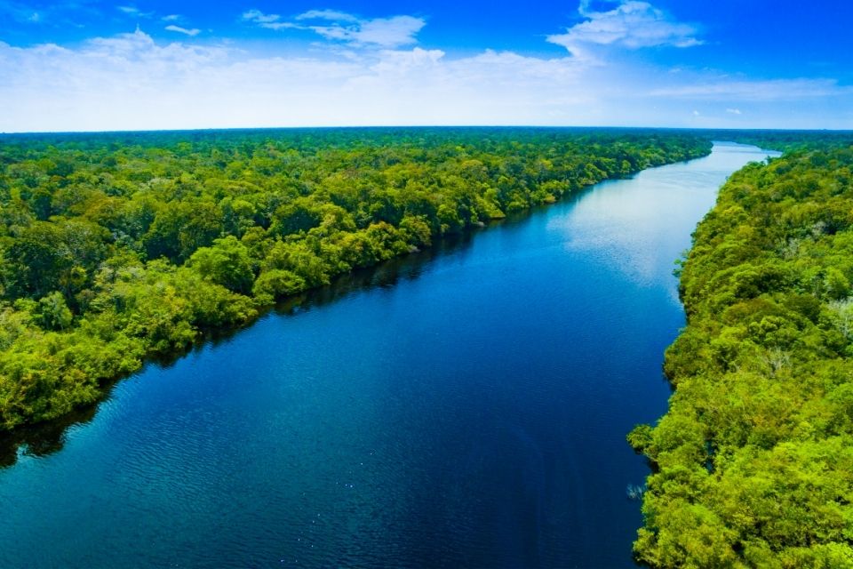 Amazon River, Brazil