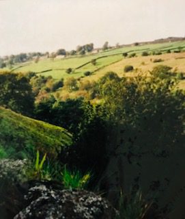 Rolling hills and shrubs, part of Bucolic Scenery part of 