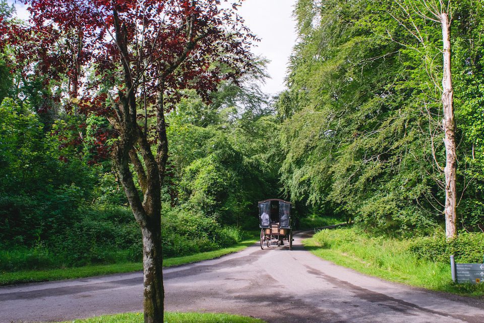 Horse drawn carriages along the Kerry Way