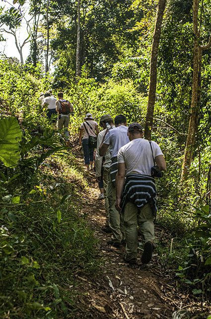 Hiking up the hill to find elephants