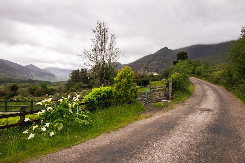 The Kerry Way's winding trails journey through some of Ireland's highest peaks