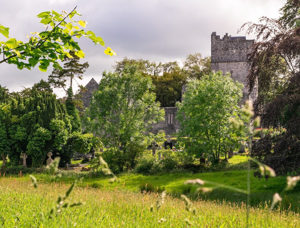 The ruins of Muckross Abbey, an old Irish monastery dating back to the 6th century