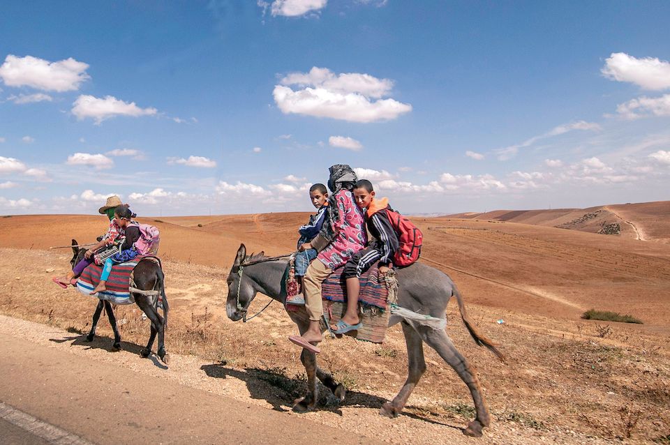 Children riding home from school on donkeys in Morocco | Photo by Diana Moore-Ede