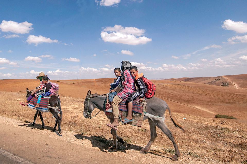 Steve McCurry's Advice for Young Creatives, photography, Agenda