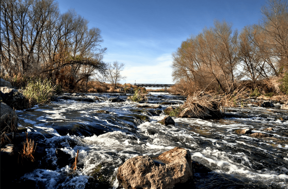 Wetlands of Las Vegas