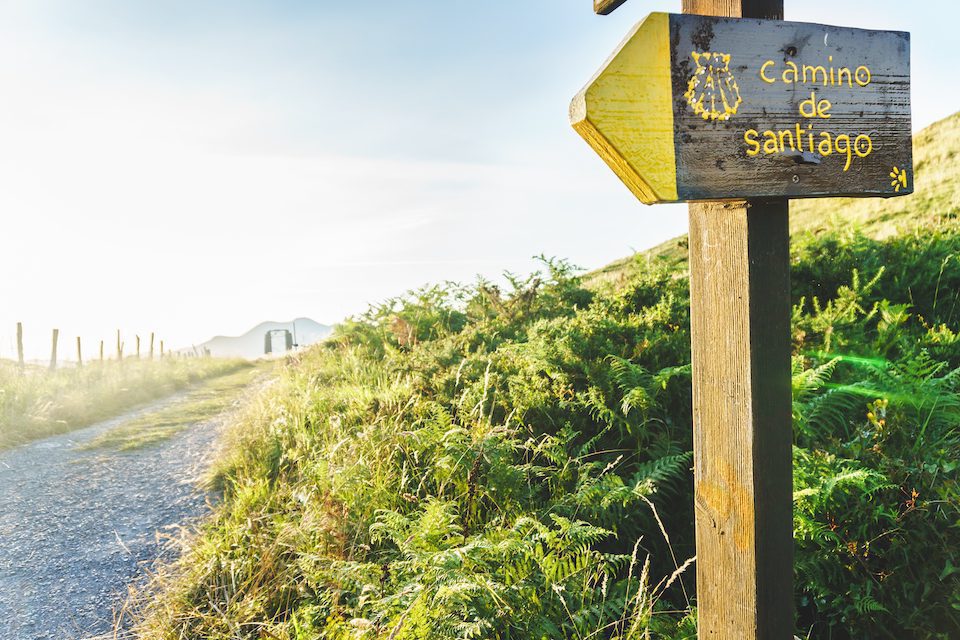 A sign of the Camino de Santiago at sunset in the middle of nature as it passes through Cantabria