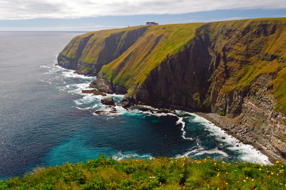 The coastal cliffs on Cape St Mary in Newfoundland