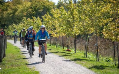 Travel on Two Wheels: The Best Ontario Biking Trails for All Levels
