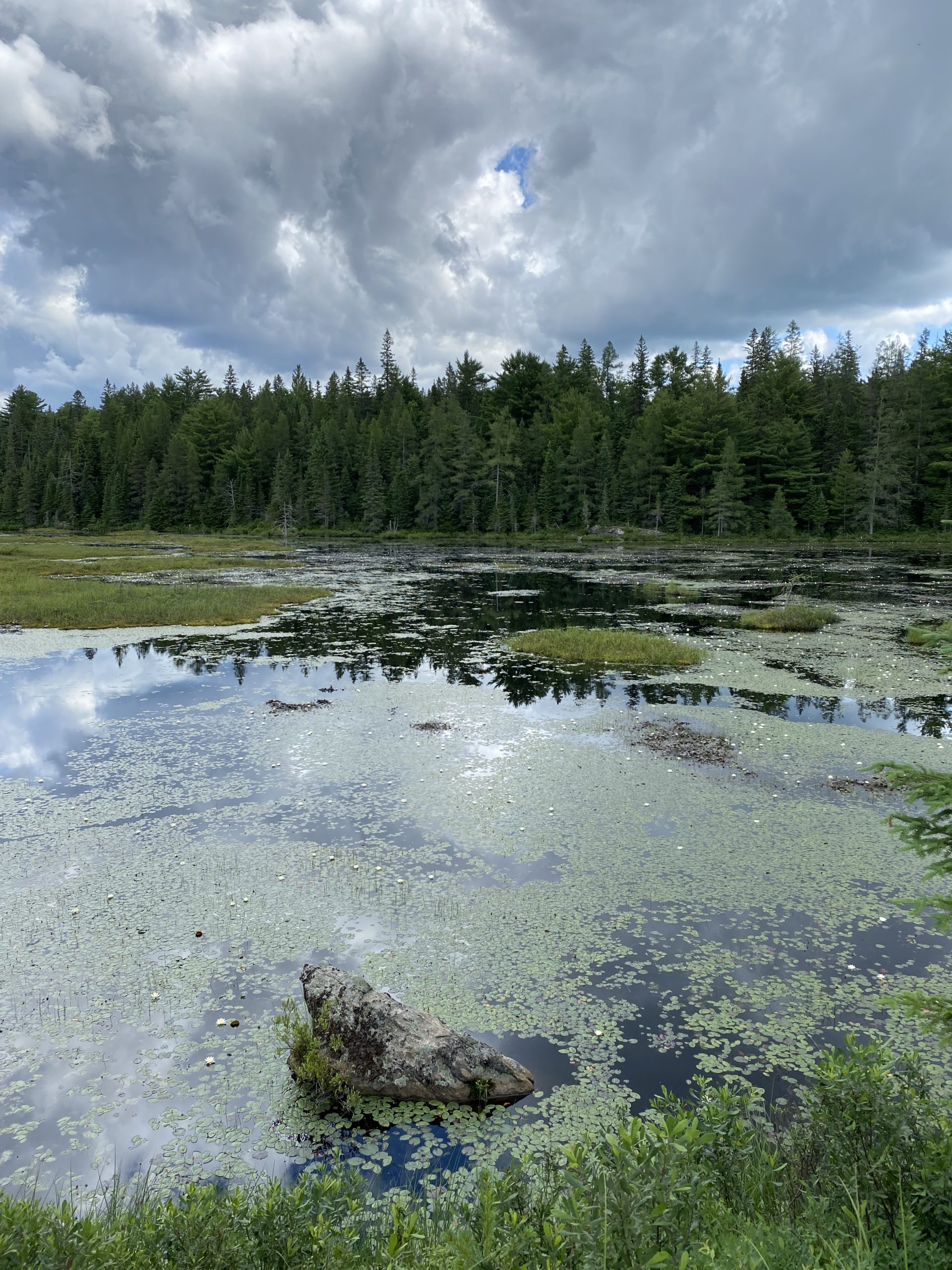 boggy lake 