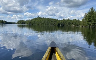 A canoe in a lake in Algonquin Park