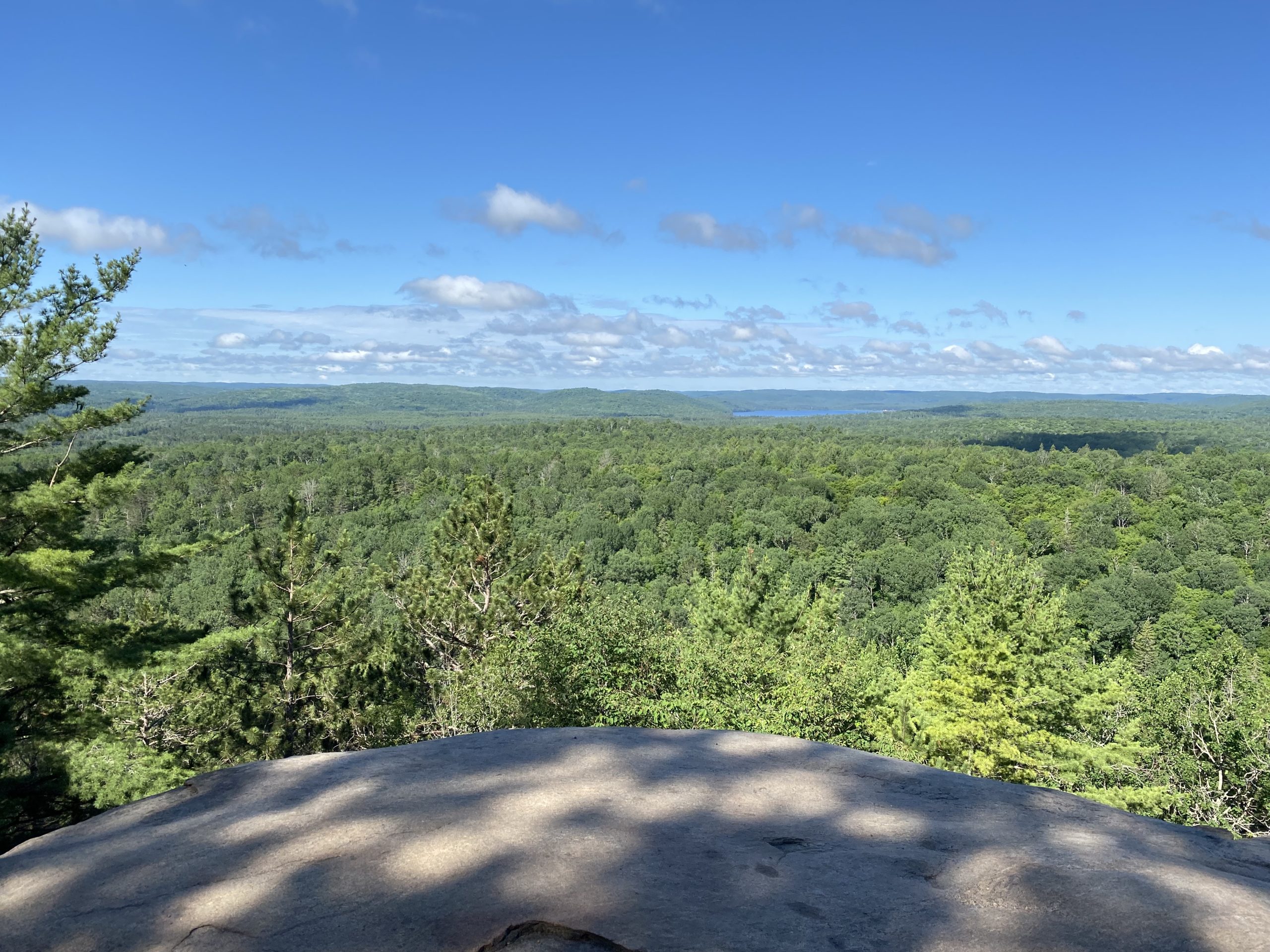 Algonquin park best on sale trails