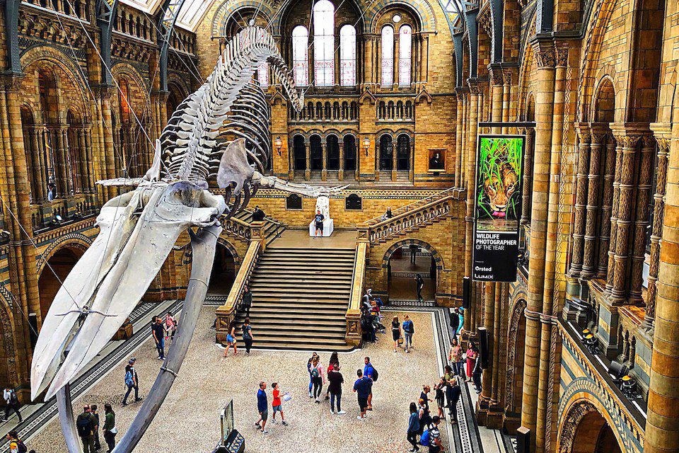 A view inside the Natural History Museum in London, England.