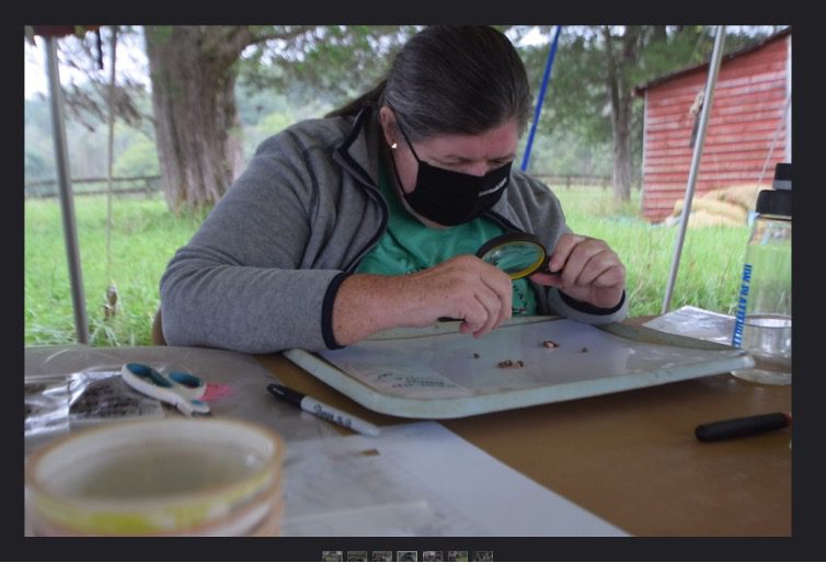 Wendy cleaning and sorting through artifacts at Montpelier, September 2020