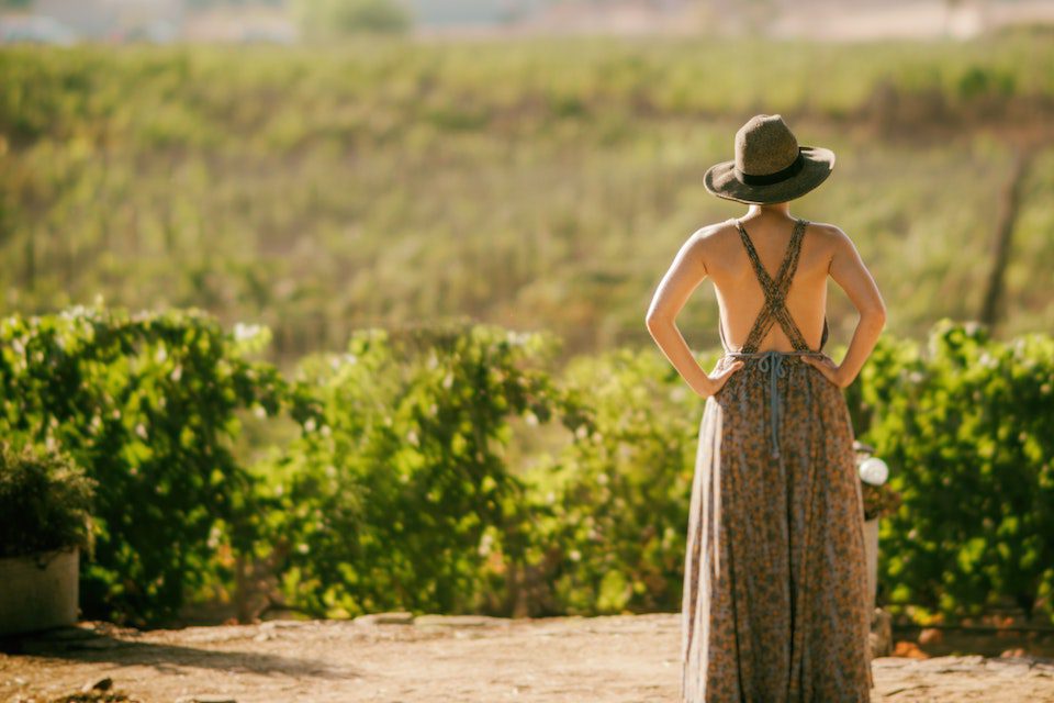A woman stands overlooking vineyards in Mexico