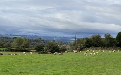 On Spain’s Camino de Santiago, Expect the Unexpected