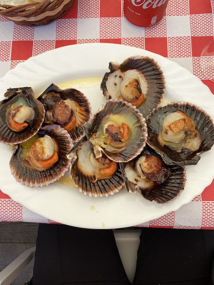 A plate of fresh scallops eaten along the Camino de Santiago