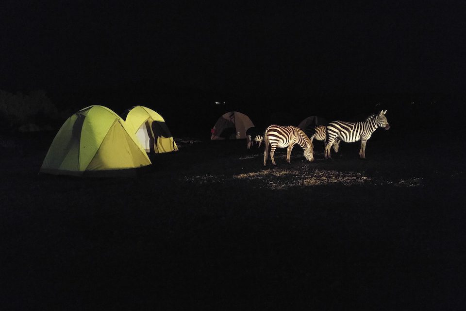 Camp view at night on Kokotailo's two-month safari adventure