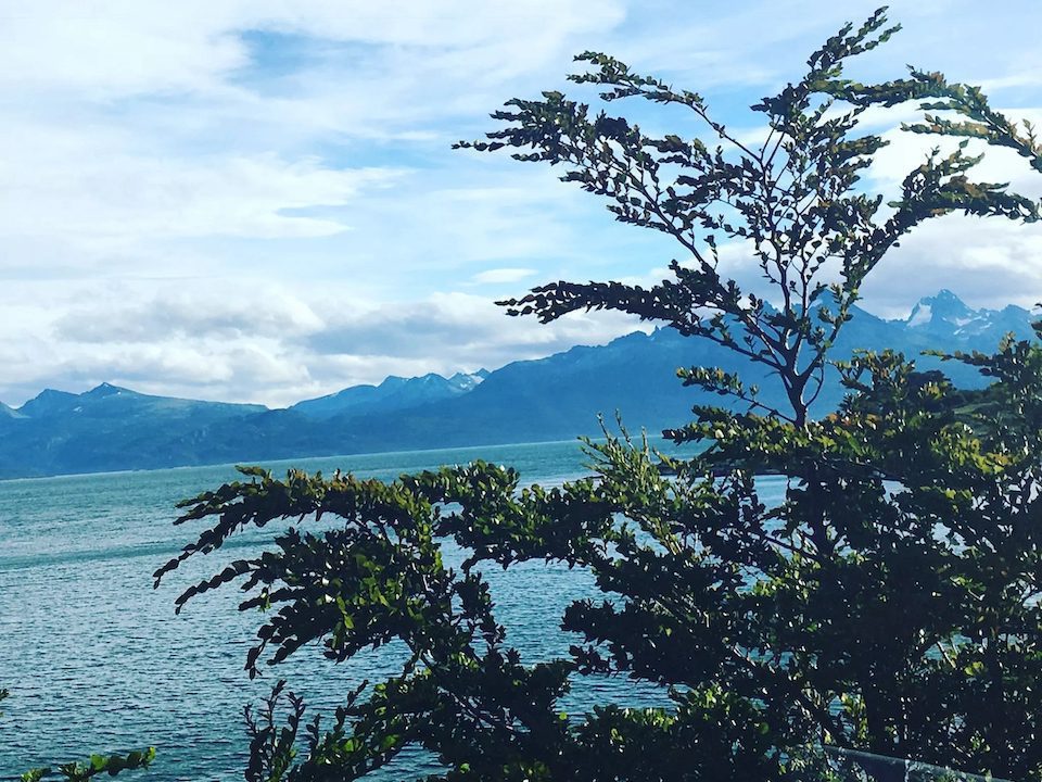 Looking out to the ocean in Ushuaia, Argentina