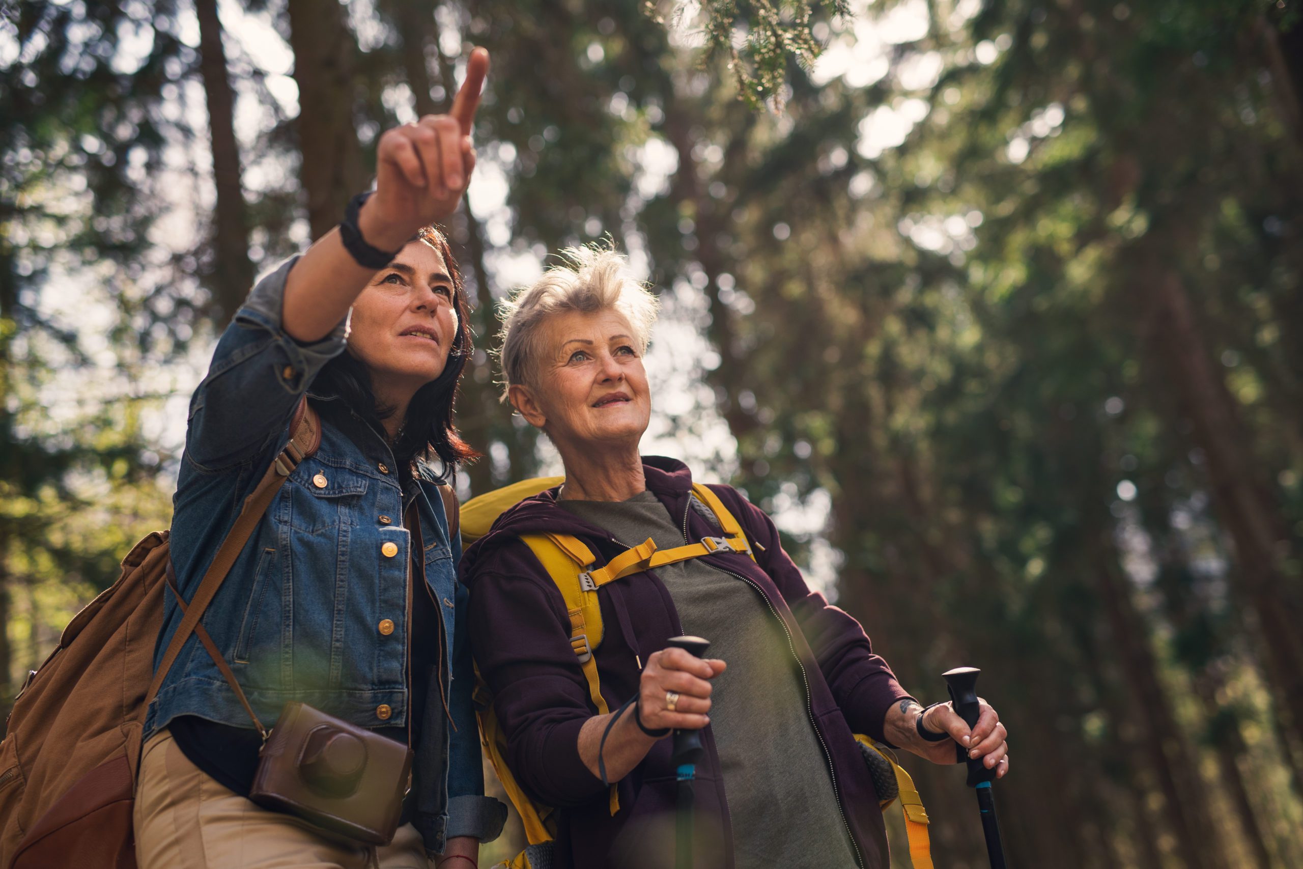 Happy senior women hikers outdoors walking in forest in nature