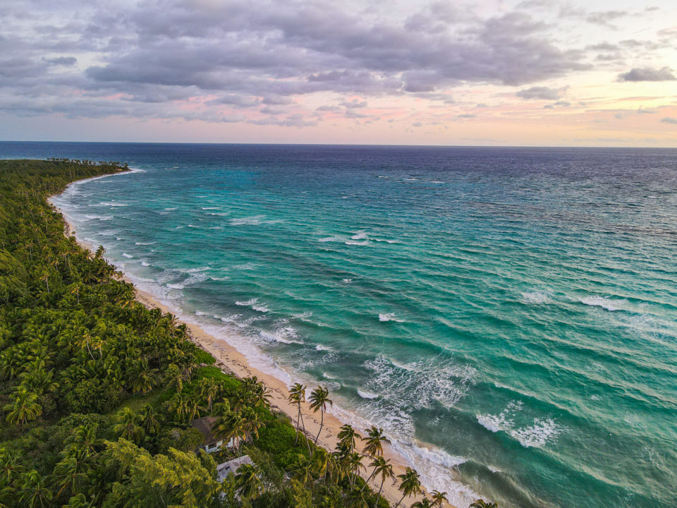 A coastline filled with green palm trees and turquoise water in Bahamas