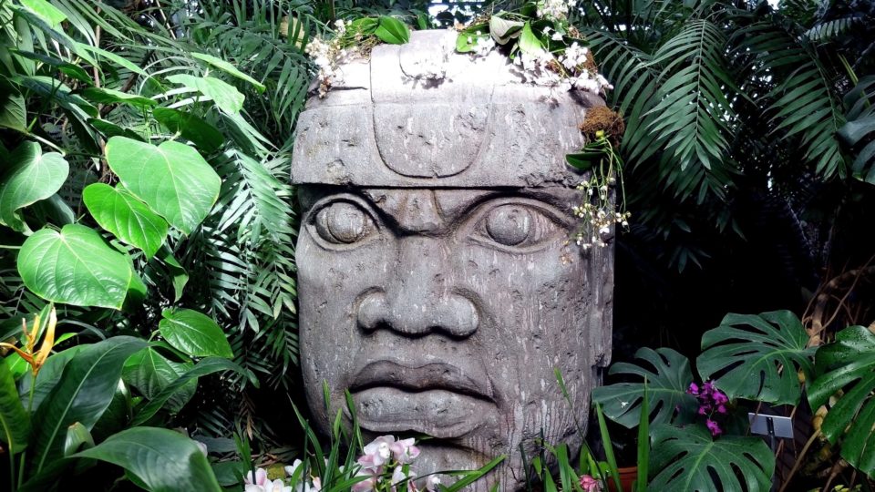 Mayan stone head from Mexico