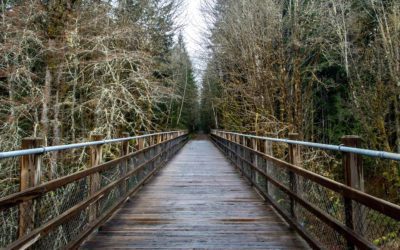 Travel at Home: A Solo Walk on the Vancouver Island Trail