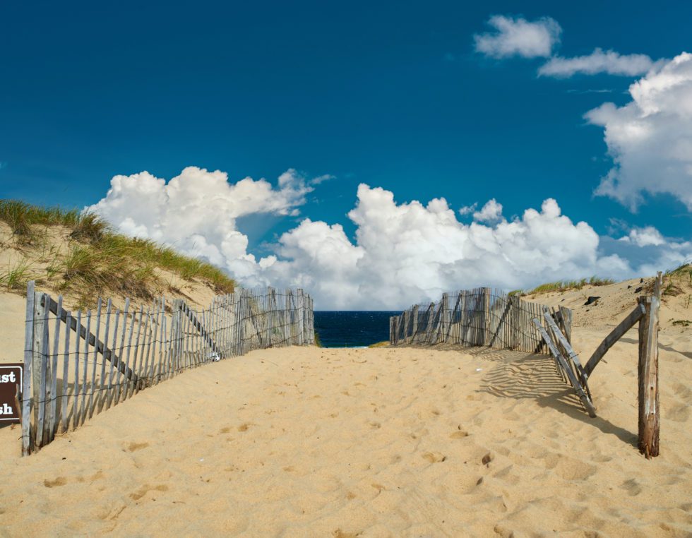 Journey to the Back Woods of Cape Cod in 