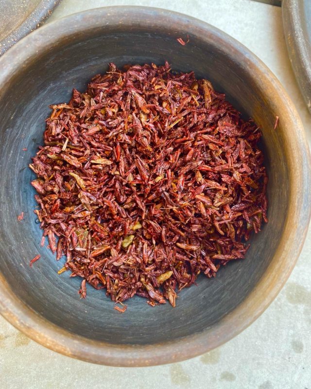 A bowl of cooked grasshoppers in Oaxaca