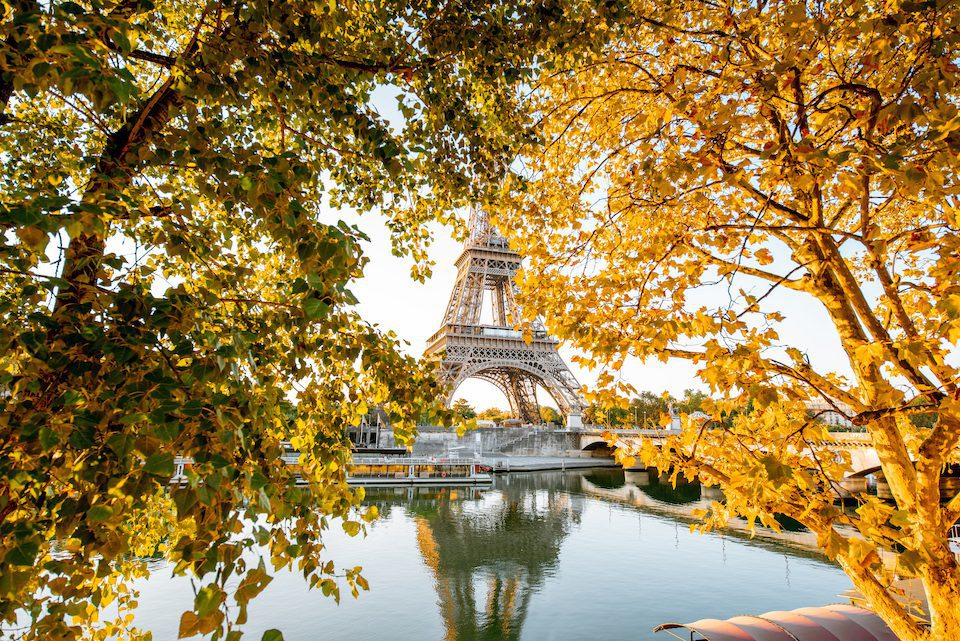 View of Eiffel tower during the sunrise with beautiful yellow trees in autumn in Paris