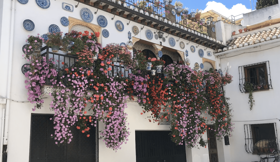 La Herradura, Spain Village Flowers