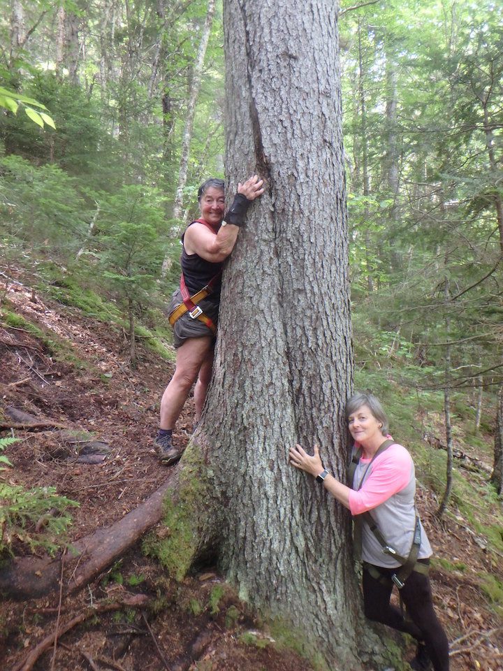 7. Sandra Phinney and Cindy Currie hug a tree on their way up from the slot canyon.