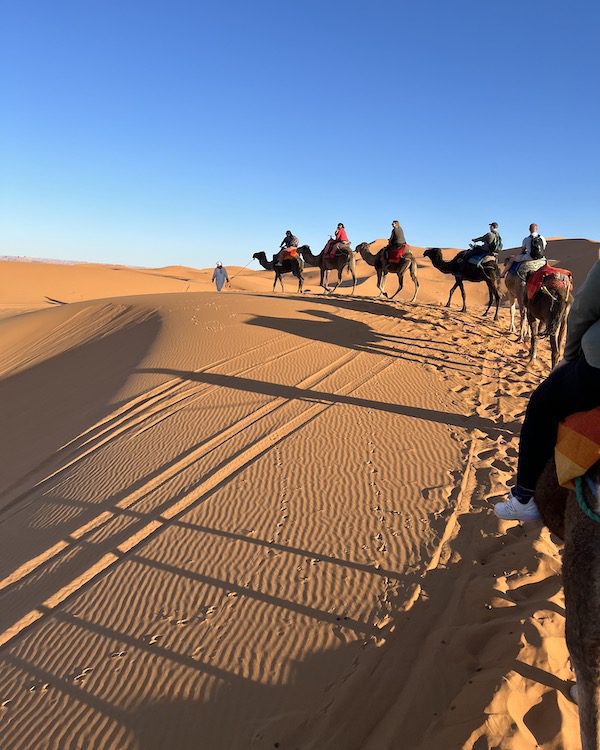 A row of people on camelback make their way into the Sahara Desert