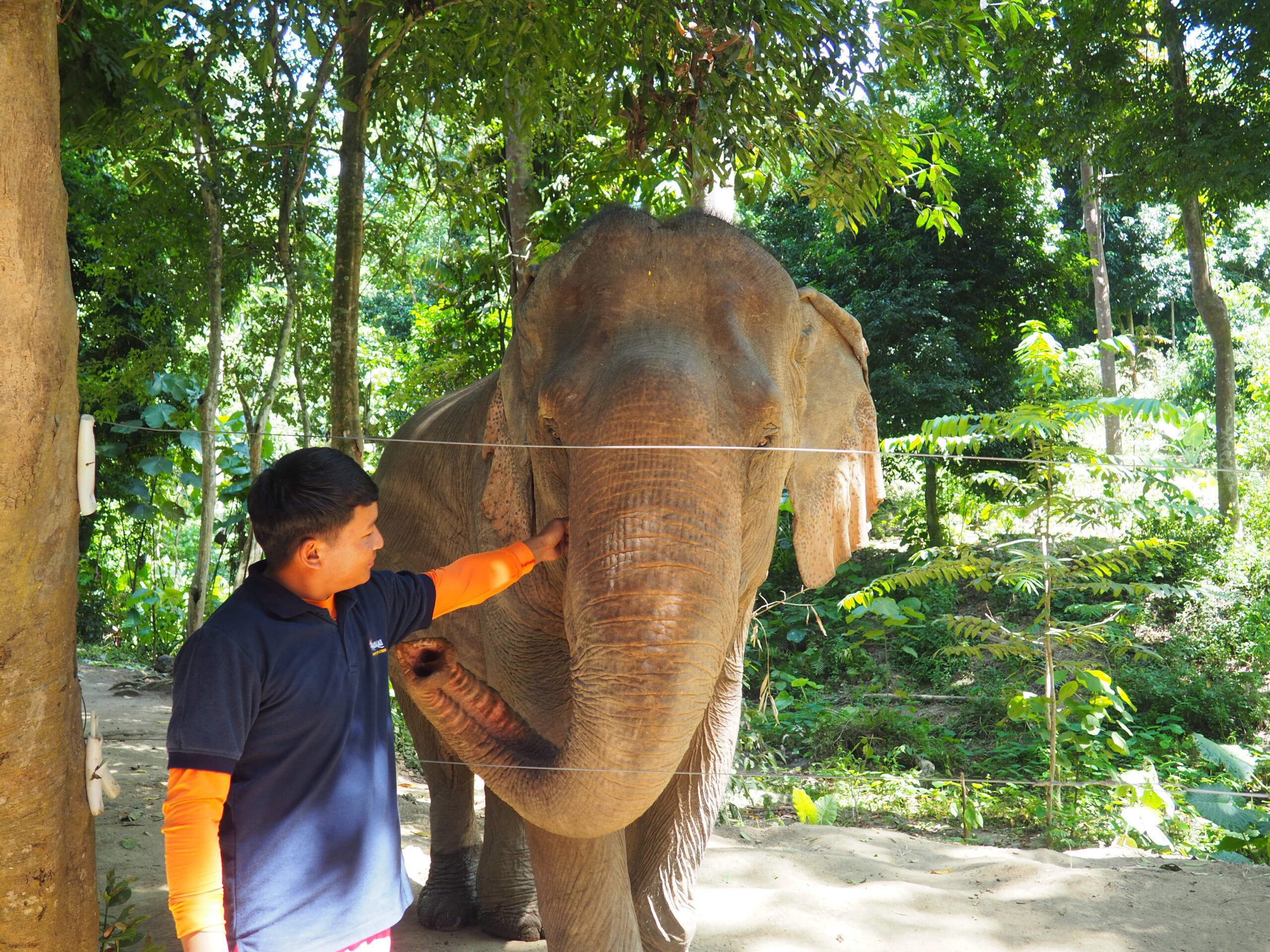 A man with an elephant in Laos